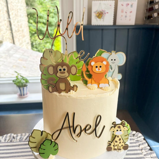 'Wild one' acrylic cake topper