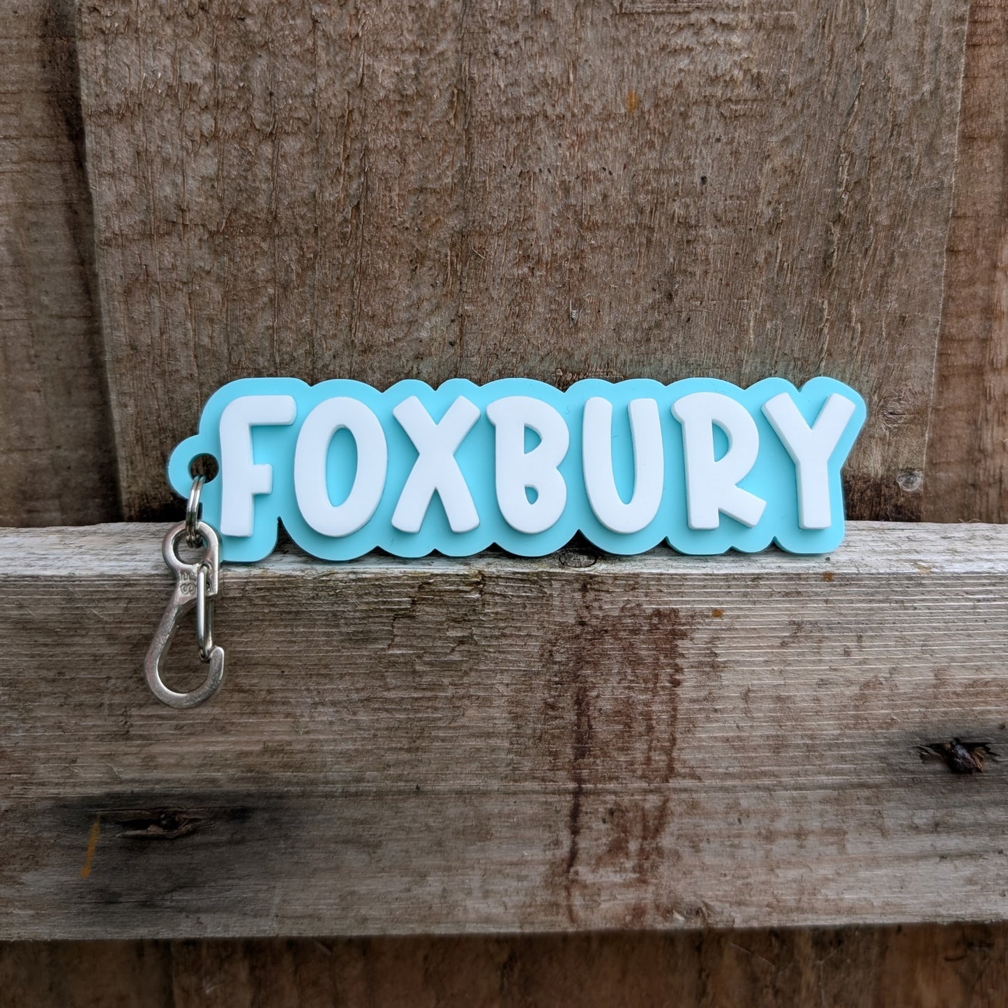 Acrylic layered name bag tag with clip in DEXTER font